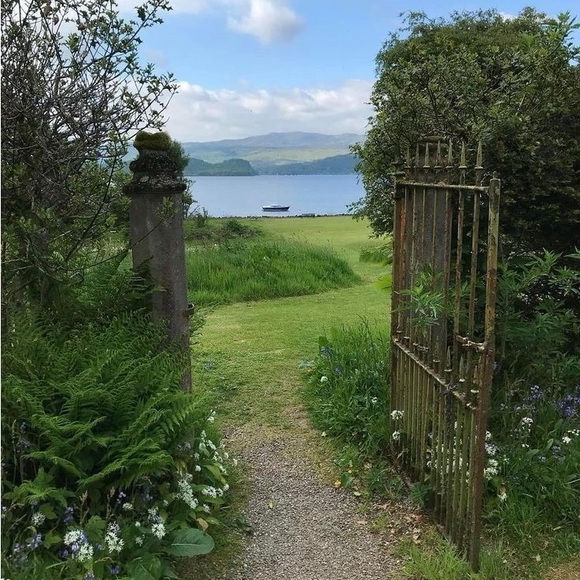 new listings soon🌱 - Picture 4 of 11